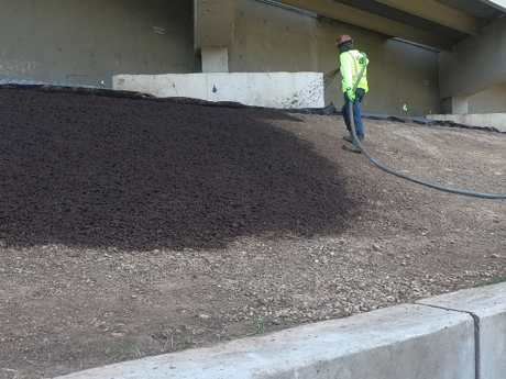 wortham-case-study-6